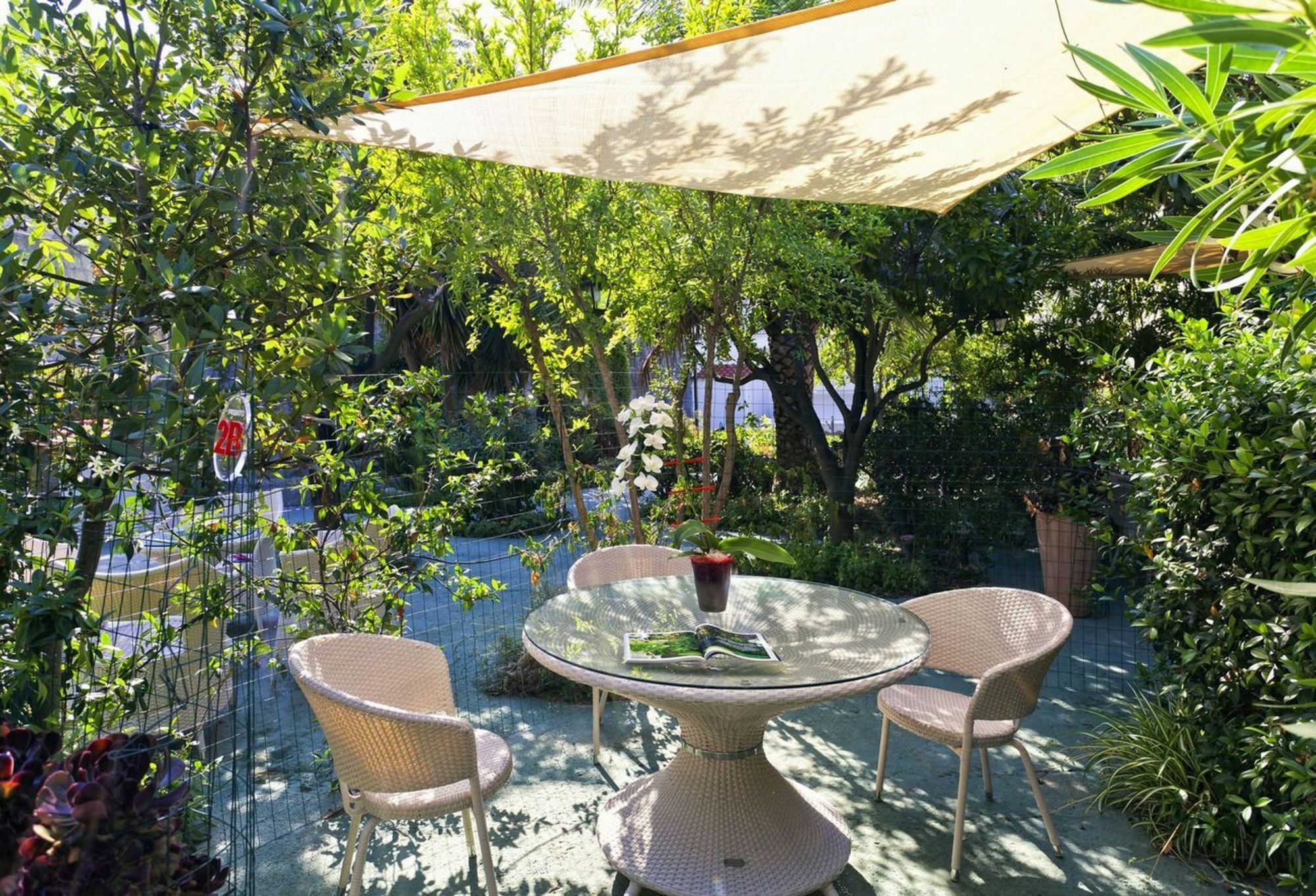 Casa Vacanze Parco Del Generale Forio di Ischia Exterior foto